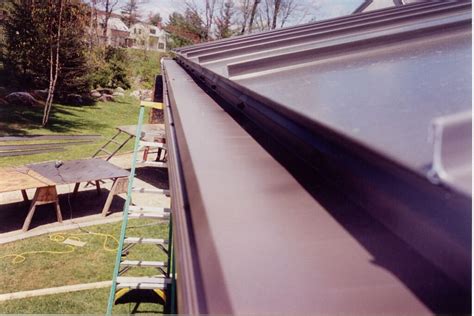 Image result for Gutter Topper Problems