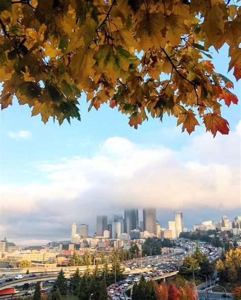 North Beacon Hill, Seattle Vacation Rentals: house rentals & more | Vrbo