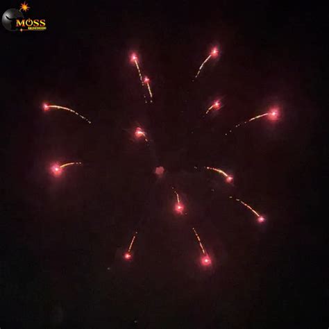 Image result for 16 Fireworks Shell