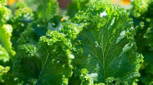 The 10 Most Nutrient-Dense Foods In The Produce Aisle & The 10 Least