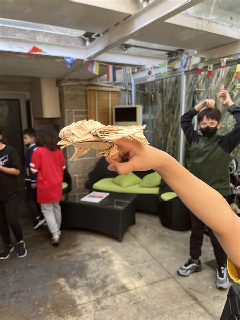 Image result for Origami Hawk