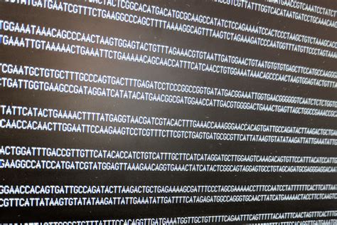 Image result for Bioinformatics Terminologies