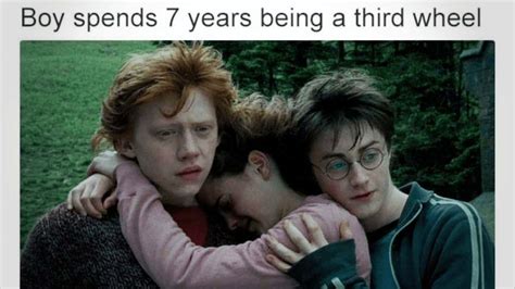 [100+] Funny Harry Potter Pictures | Wallpapers.com