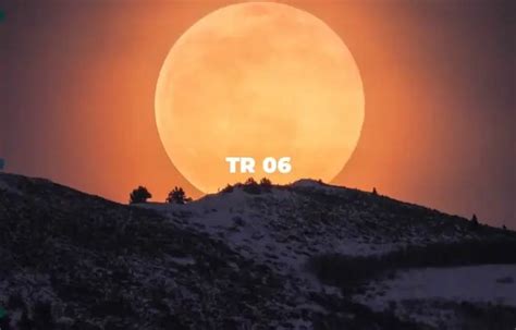 Image result for Pattern Animation After Effects