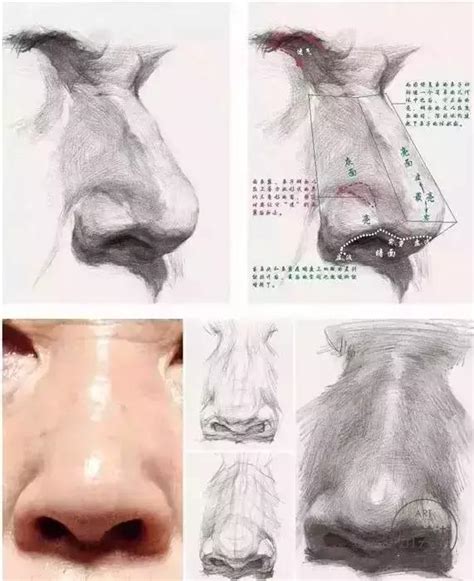 Image result for Dual Processing Model Visualization