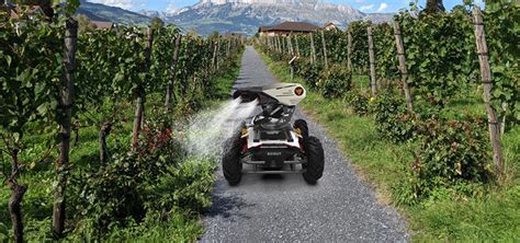 Scout Mini Robot 的图像结果