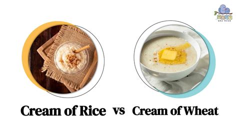 Cream of Rice vs Cream of Wheat: Which Is a Healthier Breakfast?