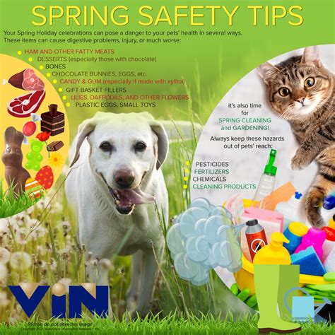 Image result for Spring Safety Tips