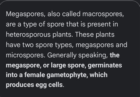 Difference between gametophyte and megaspore - Brainly.in