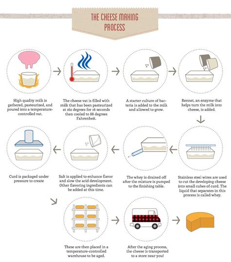 Cheese Making Process Diagram at Curtis Carr blog