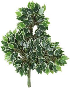 well art gallery Ficus Leaves for Home,Indoor and Outdoor d?cor(42 ...