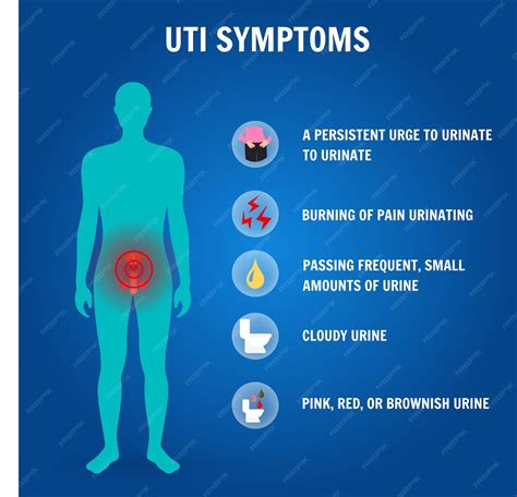 Premium Vector | Infographic uti symptoms with icons in vector illustration
