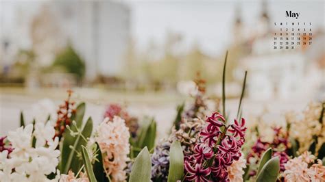 May 2023 Calendar Wallpapers - Top Free May 2023 Calendar Backgrounds - WallpaperAccess