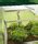 Juwel BioStar 1500 Premium Cold Frame | Free Shipping