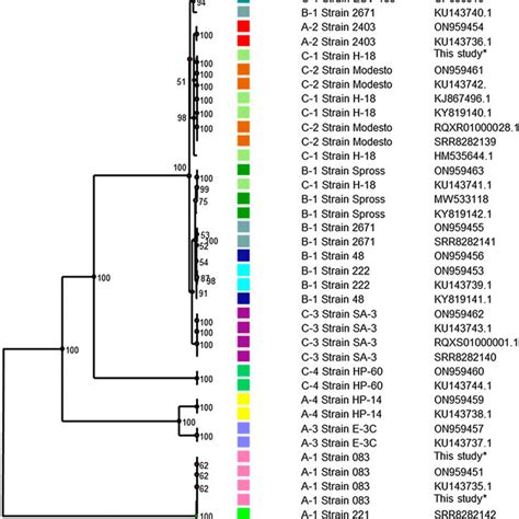 Image result for Interlinked Tree