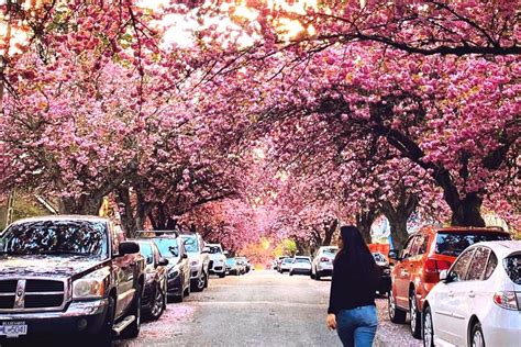 Image result for Science World