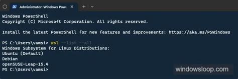 Image result for WSL Linux Distro