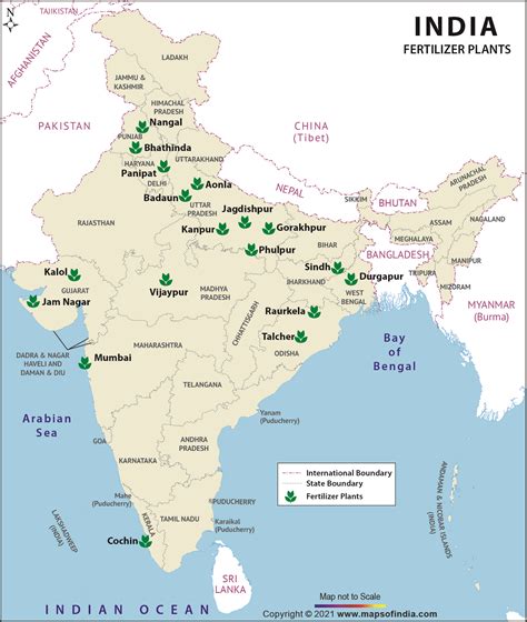 Chart Of Different Fertilizer For Plants A Complete Guide Of Seaweed