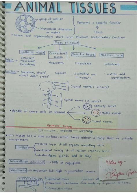 Animal Tissues PDF | Handwritten Biology Short Notes