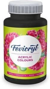 Flipkart.com | Fevicryl Acrylic Colour (100 Ml) Black (Set of 1, Black)