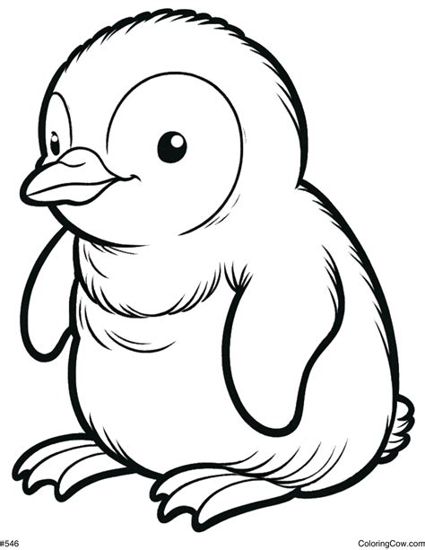 Baby Penguin Coloring Page