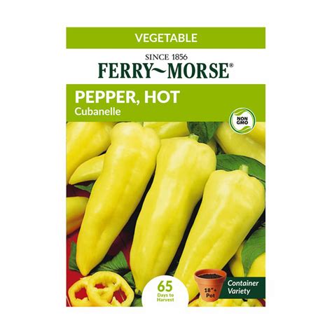 Ferry-Morse Pepper Hot Cubanelle Full Sun Vegetable Plant Seed (20 mg ...