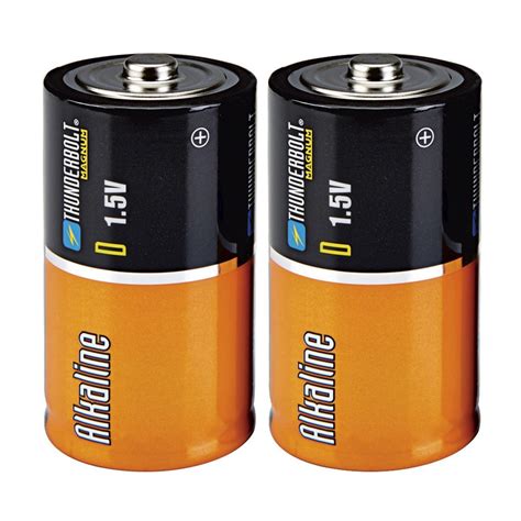 D Alkaline Batteries, 2 Pack
