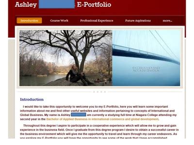 Image result for ePortfolio Vision Examples