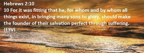 Image result for The Irish Rovers Patsy Fagan