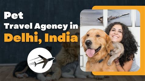 Pet Travel Agency in Delhi, India - Pet Travel Blog | Pet Friendly ...