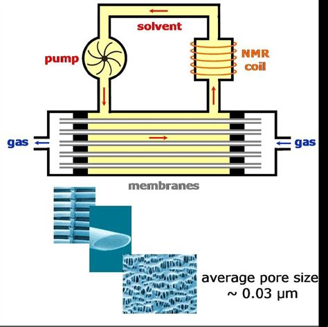 Image result for Oxygenator Function