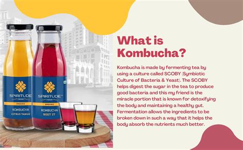 Spiritude Kombucha Tea SCOBY Probiotic Drink Organic and Raw, Natural ...