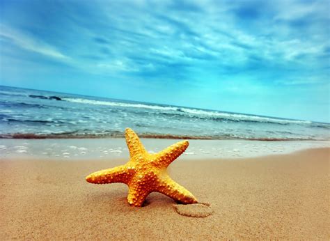 Sand Base Background 的图像结果