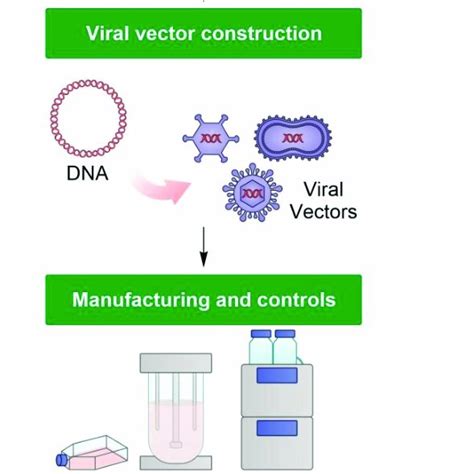 Viral Vector Manufacturing Process 的图像结果