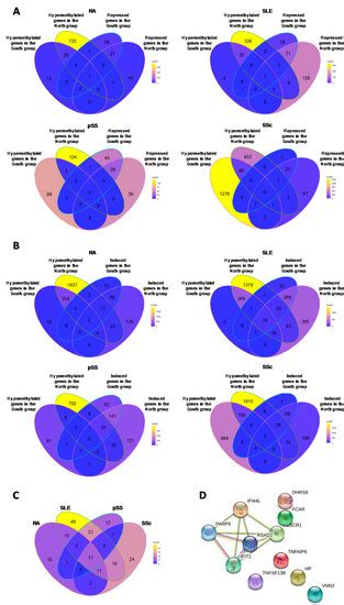 Immuno | Special Issue : Advances in Autoimmune and Rheumatic Diseases ...