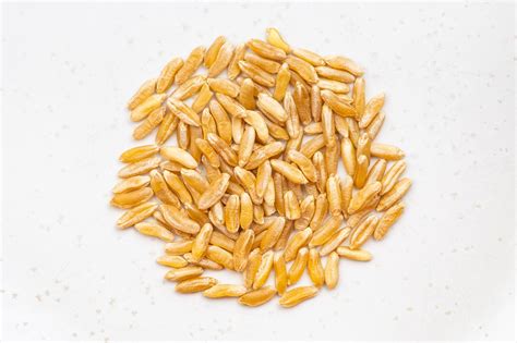Premium Photo | Pile of kamut khorasan wheat grains close up