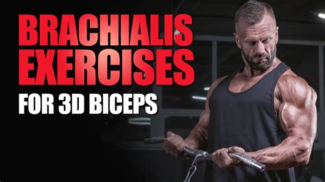 8 Intense Brachialis Exercises To Build Stronger Biceps