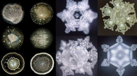 Water Has Memory and Can Be Charged and Programed with Intentions