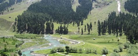 Betaab Valley, pahalgam, India - Top Attractions, Things to Do ...