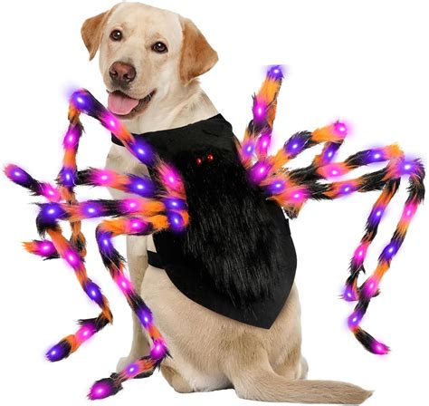 Amazon.com : GUDELAK Furry Giant Spider Halloween Costume for Medium ...