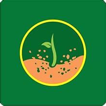 Casa De Amor Sphagnum Peat Moss for Gardening 5 kg | Organic Soil ...