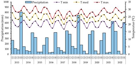 Stem Longitudinal Gradient for Basic Density, Carbon, Nitrogen, and CN ...