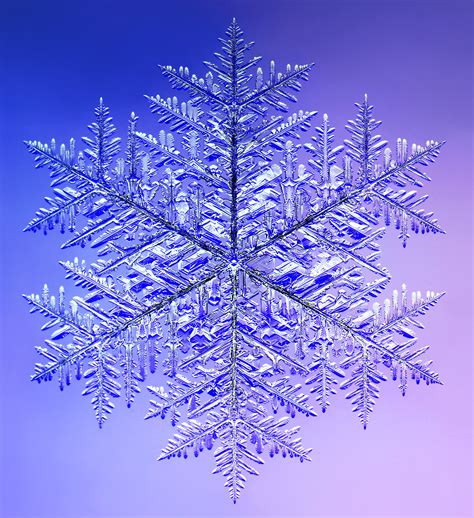Monster Snowflake - SnowCrystals.com
