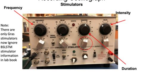 Image result for Sample BMP Lab