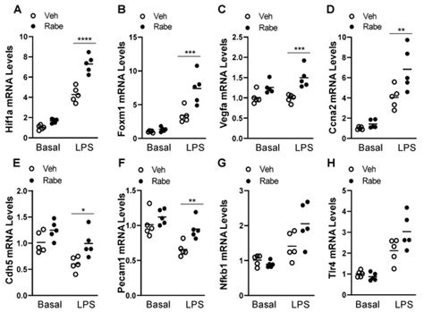 Rabeprazole Promotes Vascular Repair and Resolution of Sepsis-Induced ...