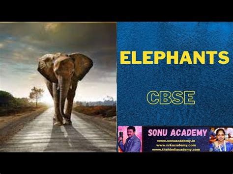 SONU ACADEMY: ELEPHANT-TEXT