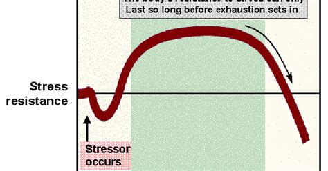 Stuart Stress Adaptation Model ~ Nursing Path