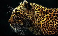 Jaguar Abstract Wallpaper by Wildlife Abstract Animal Creative Design Hd Jaguar Abstract Wallpaper