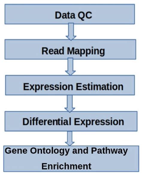 Transcriptomic Profiling Reveals Altered Expression of Genes Involved ...