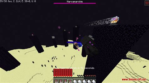 How to Control Mobs in Minecraft Java 的图像结果